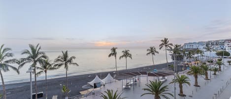 A coastal promenade with palm trees, a beach, and buildings in the background.