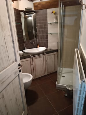 Shower, hair dryer, bidet, towels
