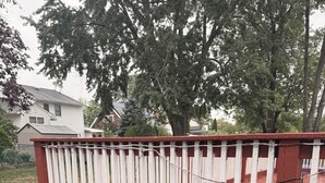 A wooden deck with a white railing, surrounded by grass and trees.