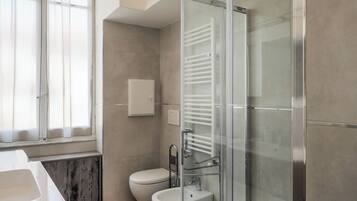 Shower, hair dryer, bidet, towels