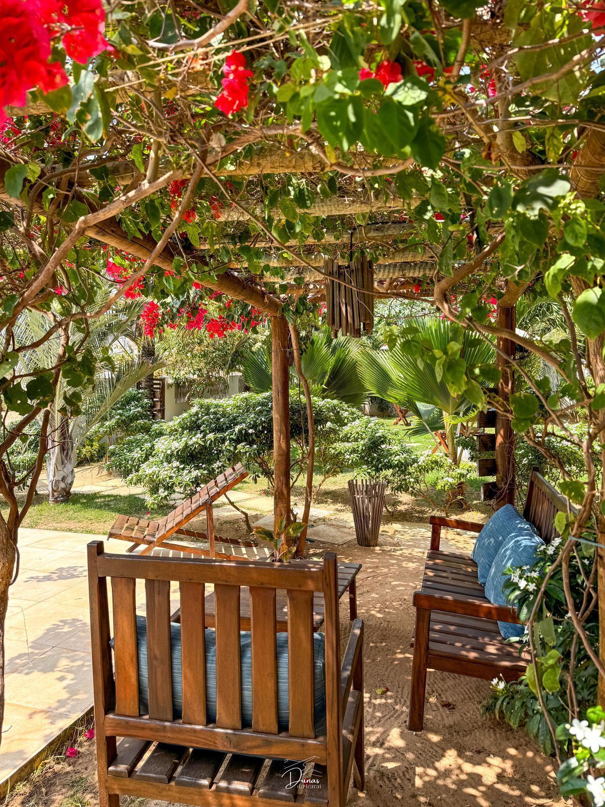 A wooden bench under a pergola with red flowers, surrounded by lush greenery and a palm tree.