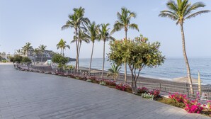 A paved walkway with palm trees and flowers, a beach, and a building in the background. - Studio 'Martin - 30' with Sea View, Balcony and Wi-Fi (Puerto de Naos)