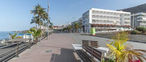 Un paseo marítimo con un banco, palmeras y un edificio con balcones.