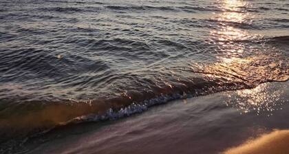 Cozy Peaceful 1 bedroom Cabin, that sleeps 6 - A perfect nature filled getaway.