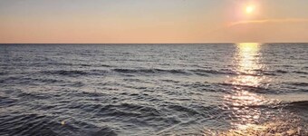 Cozy Peaceful 1 bedroom Cabin, that sleeps 6 - A perfect nature filled getaway.