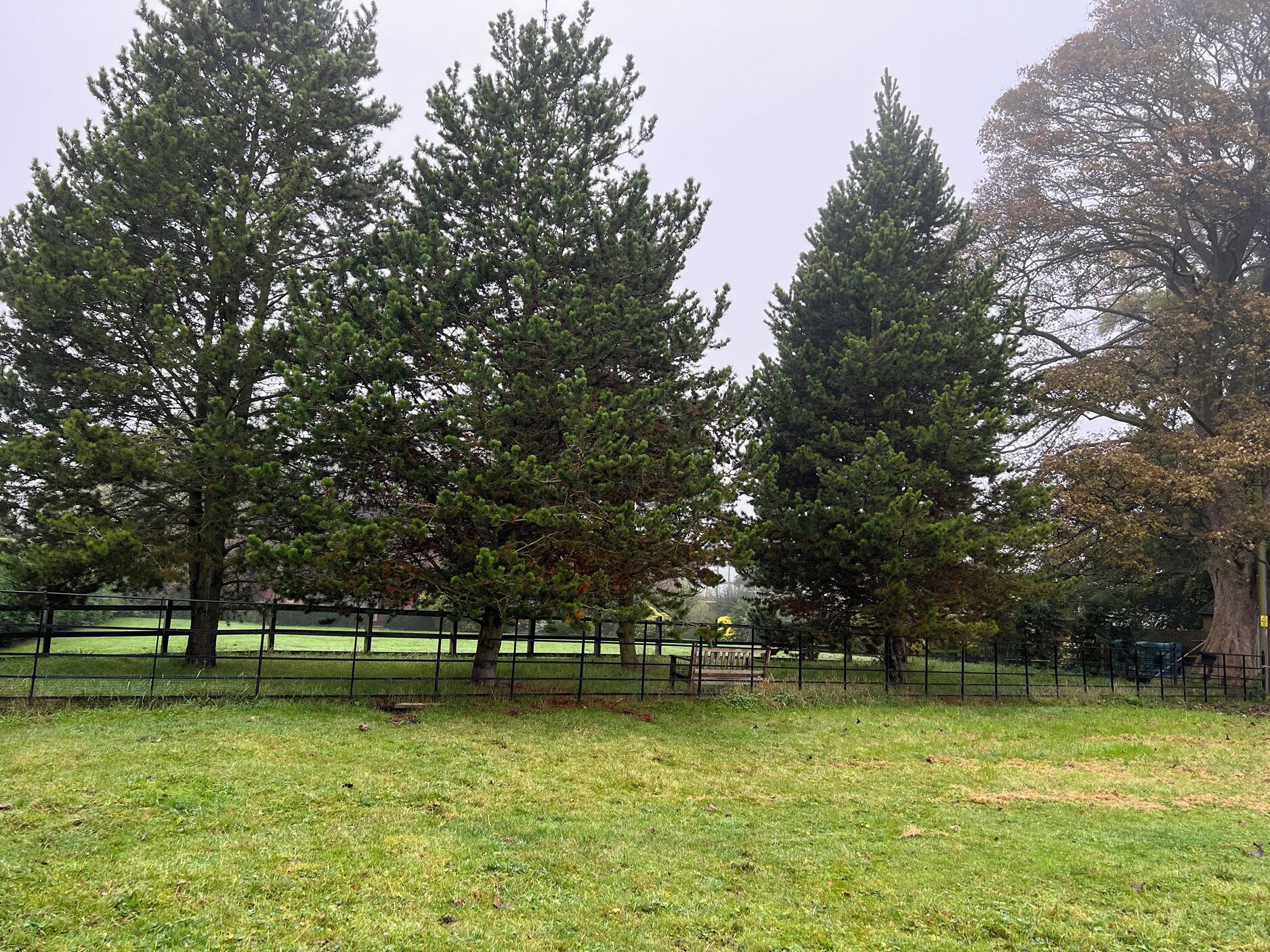 A fenced park area with tall trees and a grassy field.