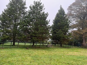 Casa de campo | Áreas de la propiedad