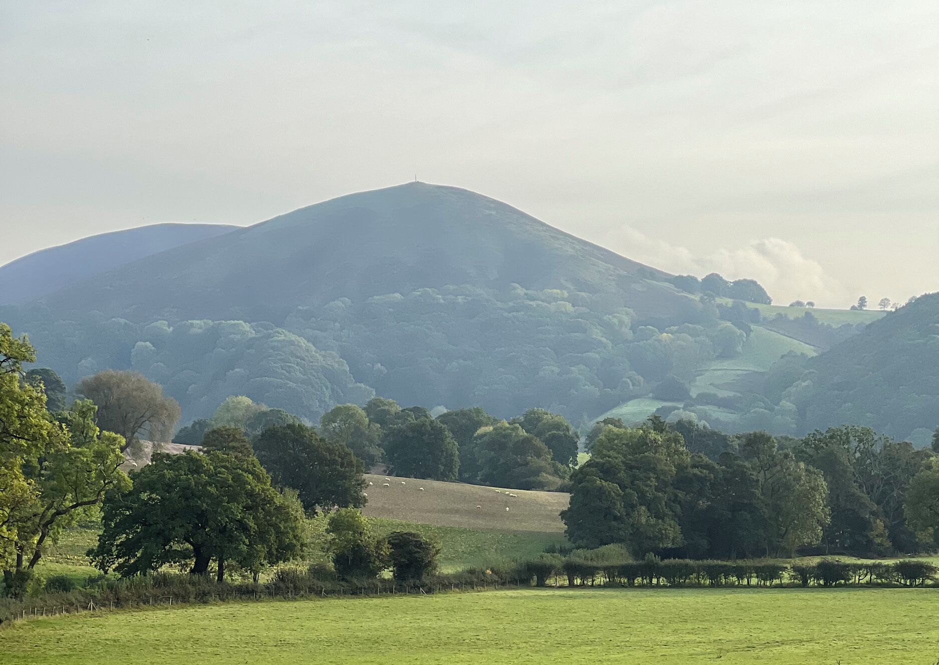 A rural landscape with rolling hills, a mountain in the background, and a field with grazing sheep.