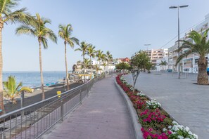 Eine Uferpromenade mit Palmen, einem Strand und Gebäuden im Hintergrund.