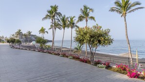 Un paseo marítimo con palmeras, un camino peatonal y vistas al mar.