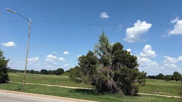 A road with a grassy field and a tree in the distance.