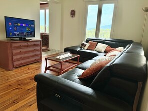 TV, fireplace, books