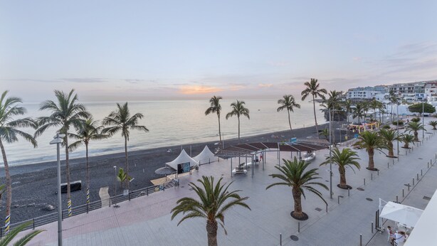 A coastal promenade with palm trees, a beach, and buildings in the background.