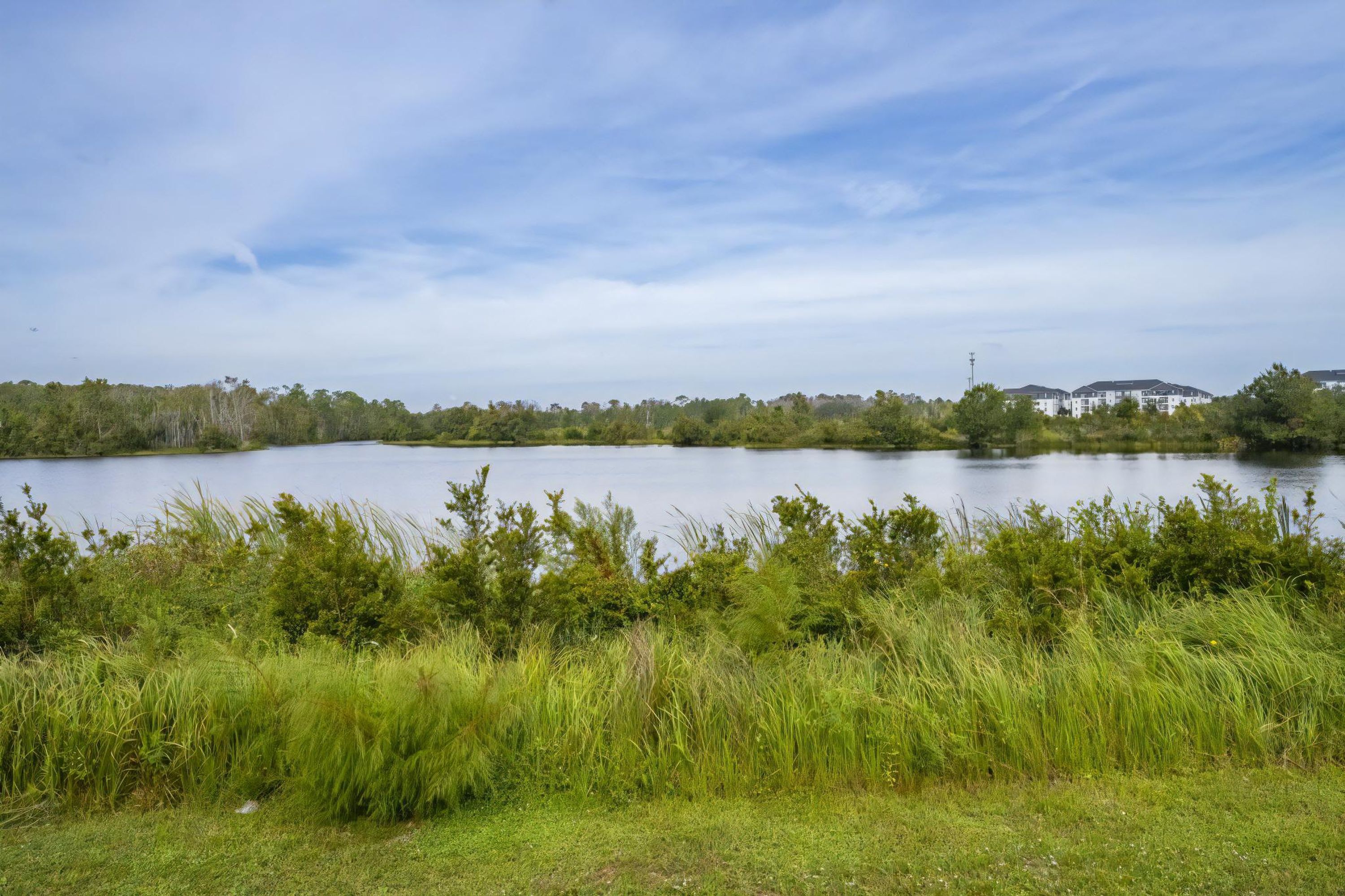 A lake with a grassy foreground and a distant building complex.