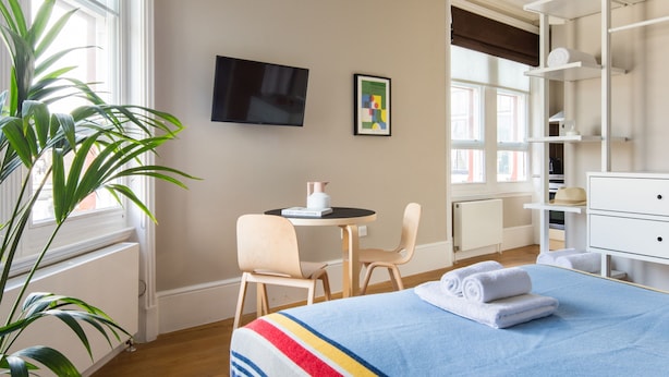 A hotel room with a bed, a desk, a chair, a television, and a plant.