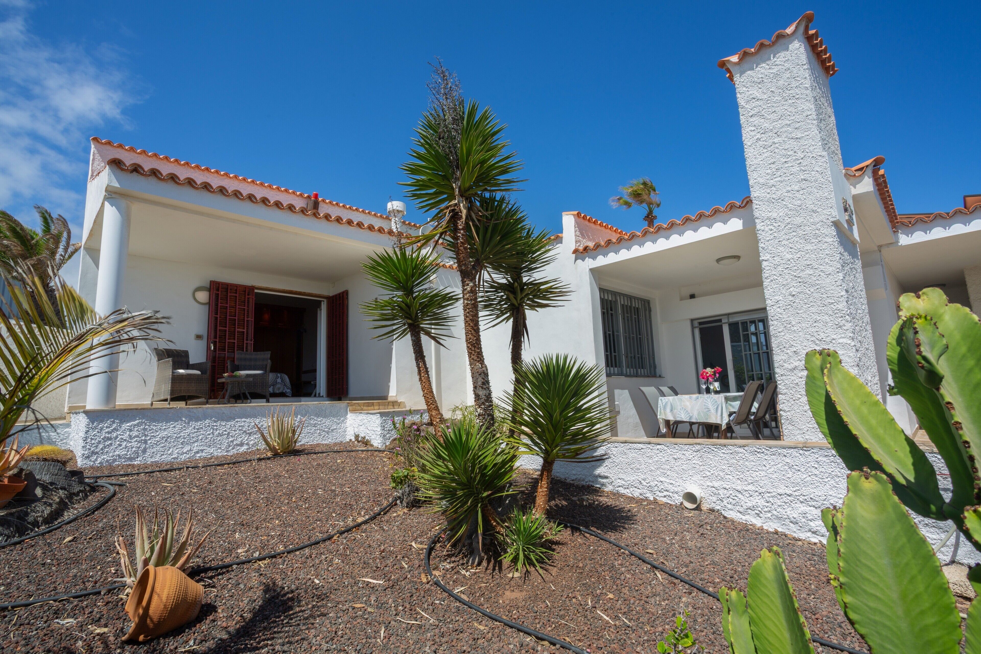 A house with a patio, palm trees, and a cactus.
