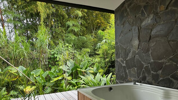 Un jacuzzi con revestimiento de madera, frente a un fondo de vegetación exuberante y una pared de piedra.