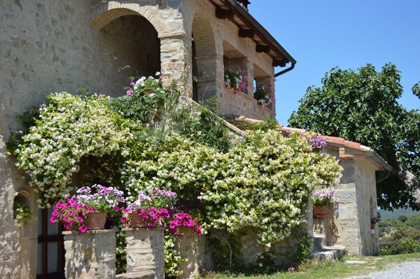 A stone building with arched windows and balconies, covered with flowering vines and potted plants. - Agriturismo Bellavista between Amiata and Val dórcia - Mountain apartment (Toscana)