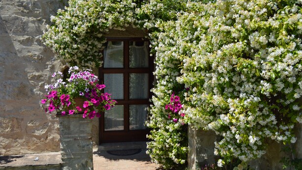 A stone building with a wooden door, surrounded by lush greenery and flowering plants. - Agriturismo Bellavista between Amiata and Val dórcia - Mountain apartment (Toscana)