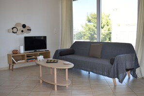 Smart TV, fireplace, books