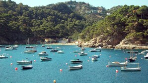 Eine Küstenlandschaft mit zahlreichen Booten, die im Wasser vor Anker liegen, umgeben von felsigen Klippen und üppiger Vegetation.