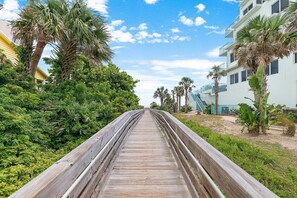 House, 1 Queen Bed with Sofa bed (Son and Sand) | Property grounds - Son and Sand (New Smyrna Beach)