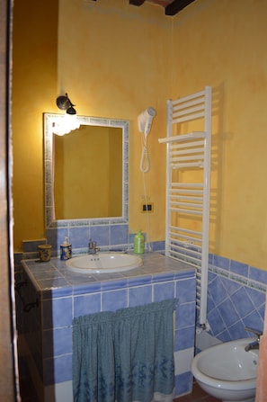 Shower, hair dryer, bidet, towels