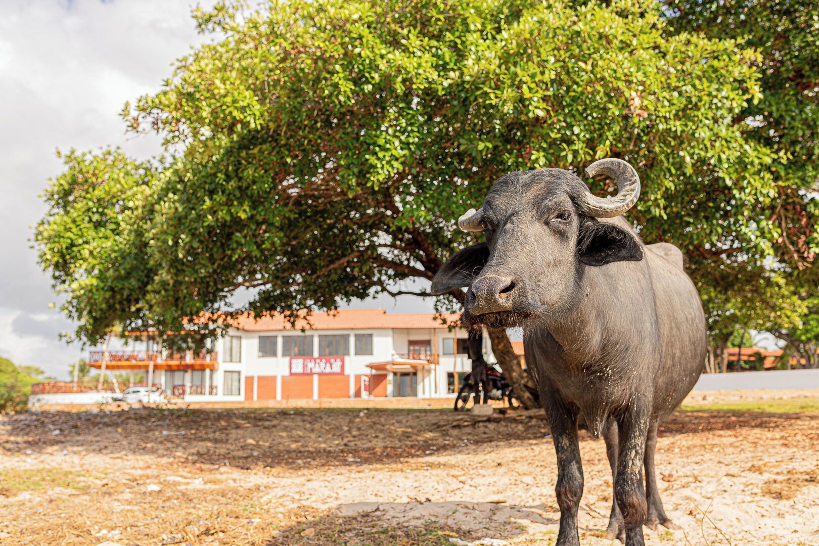 Façana frontal de l'allotjament