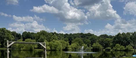 A bench in a grassy area with a lake and trees in the background.
