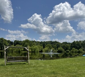 Un banc situé dans un espace verdoyant, avec un lac et des arbres en arrière-plan.