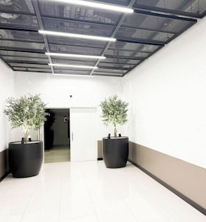 Un pasillo con luminarias lineales en el techo, dos plantas grandes en macetas y una puerta al final.