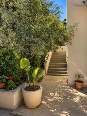 Property grounds - Proprieté malva (Alata)