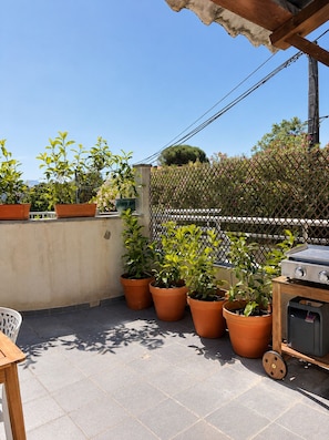Property grounds - Proprieté malva (Alata)