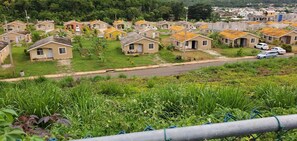 Zona residencial con casas alineadas, una calle y vegetación en primer plano.