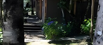 Lindo y Cómodo Departmento en Pucon