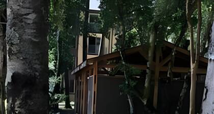 Lindo y Cómodo Departmento en Pucon