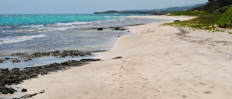 Playa