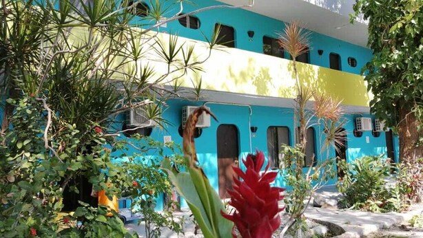 A two-story building with a blue and yellow facade, surrounded by tropical plants and rocks. - Hotel Tamuín (Tamuín)
