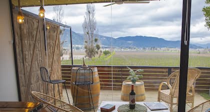 Apalta Lofts disfruta frente a viñedos