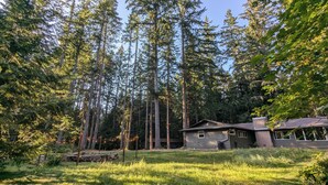 Uma cabana rodeada por árvores altas numa área arborizada.