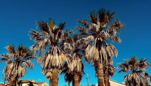 Miscellaneous - Sea-View Studio on Top Floor with Balcony by the Beach – Port de Hyères (Hyères)