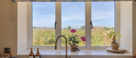 A kitchen with a window, a sink, and a metal rack.