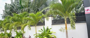 Un mur blanc orné de palmiers et d’autres plantes tropicales.