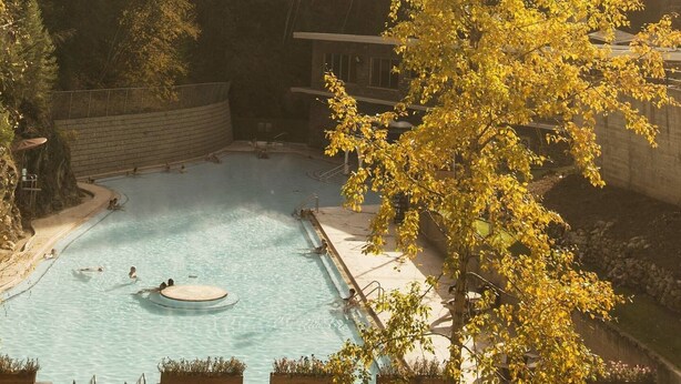 A swimming pool with a circular hot tub, surrounded by a stone wall and trees with yellow leaves. - Dorothy in the Woods | Fire Pit | Fireplace | Yard (Edgewater)