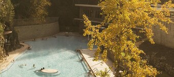 Dorothy in the Woods | Fire Pit | Fireplace | Yard