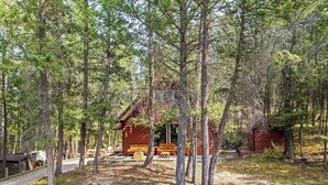 A rustic cabin with a porch and outdoor seating area surrounded by trees. - Dorothy in the Woods | Fire Pit | Fireplace | Yard (Edgewater)