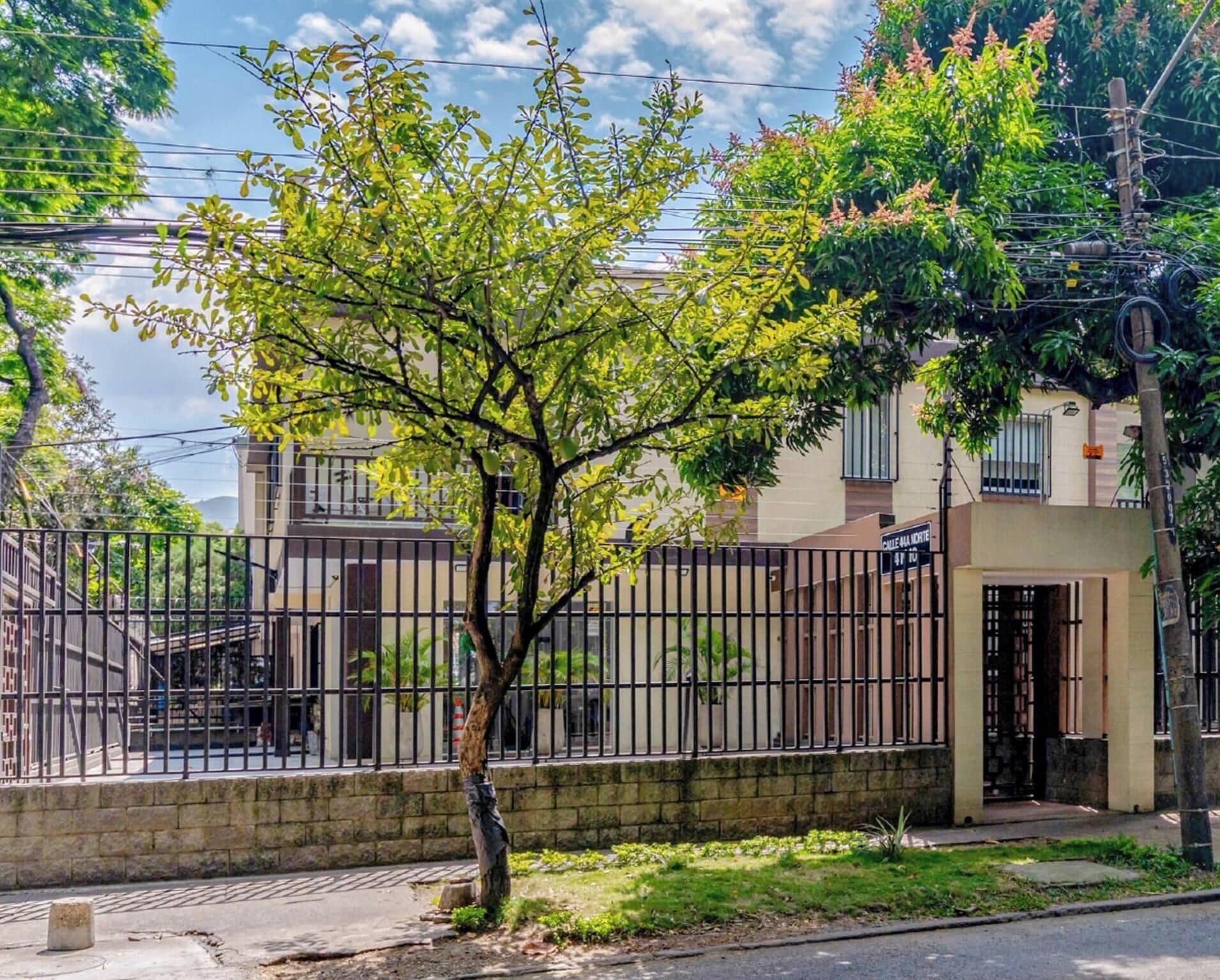 Zona residencial con entrada protegida por una reja, un árbol en primer plano y un edificio con puerta y ventana a la vista.