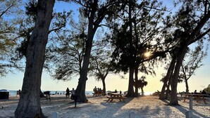 A beach with picnic tables and benches under large trees. - Alamanda Villas (Holmes Beach)