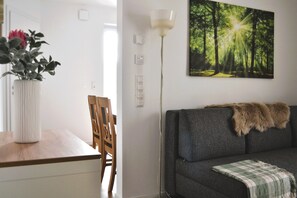 Smart TV, chimenea, reproductor de DVD