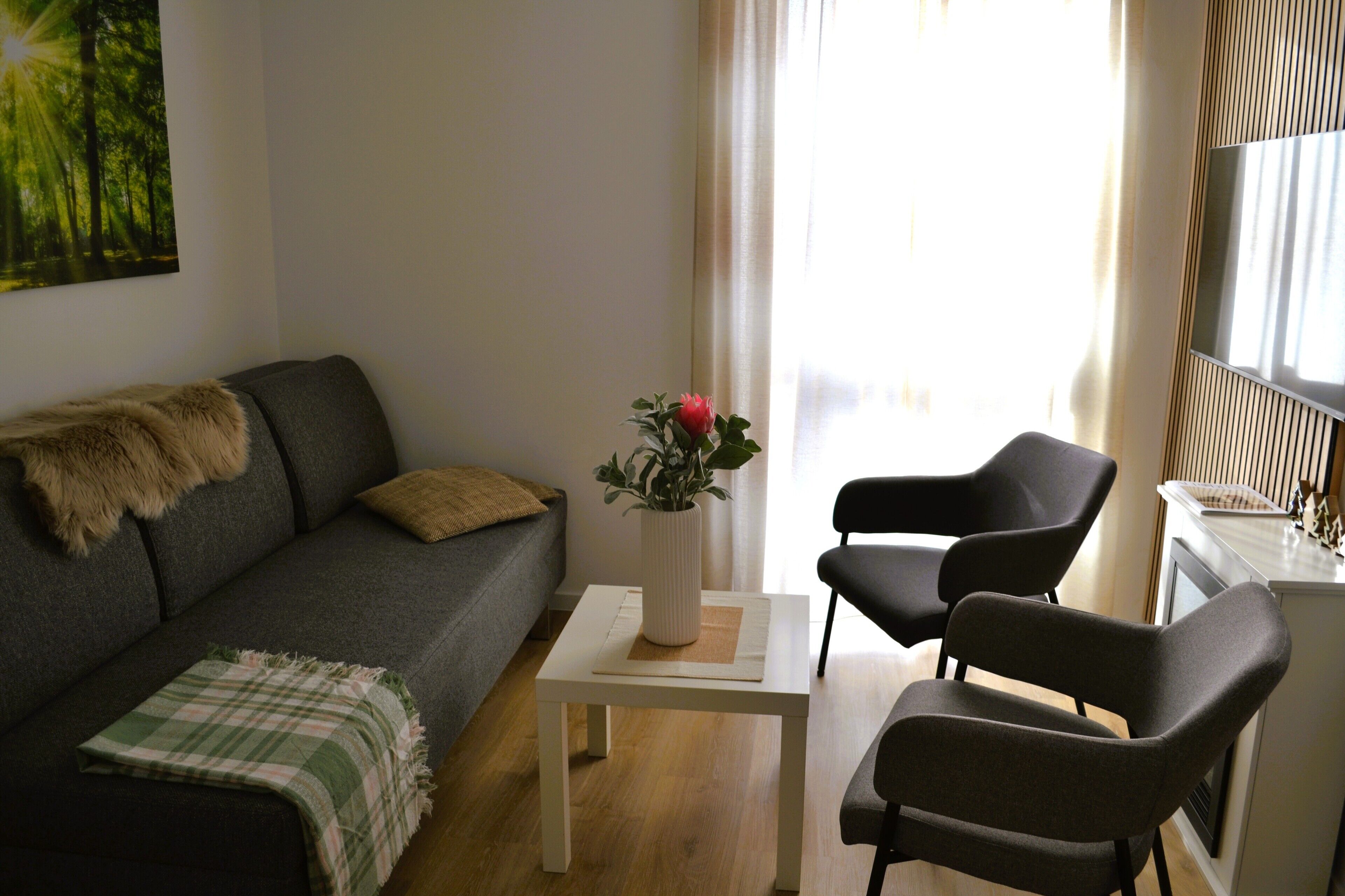 Smart TV, caminetto, lettore DVD